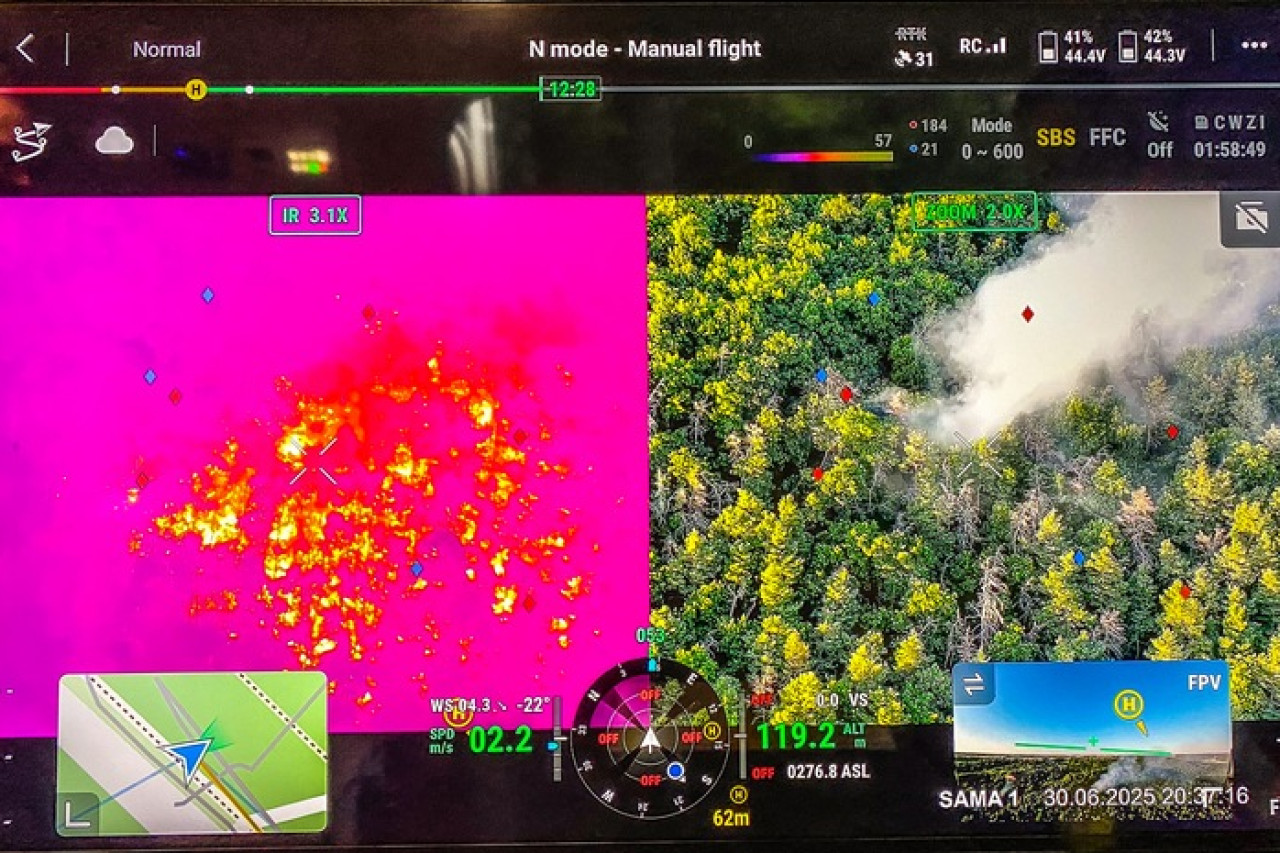 Waldbrandalarm in Dresden: Feuerwehr kämpft gegen die Flammen!