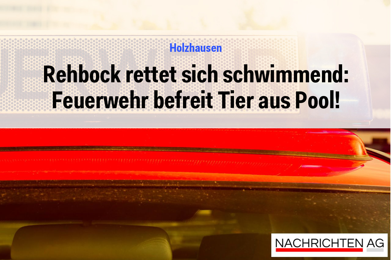Rehbock rettet sich schwimmend: Feuerwehr befreit Tier aus Pool!