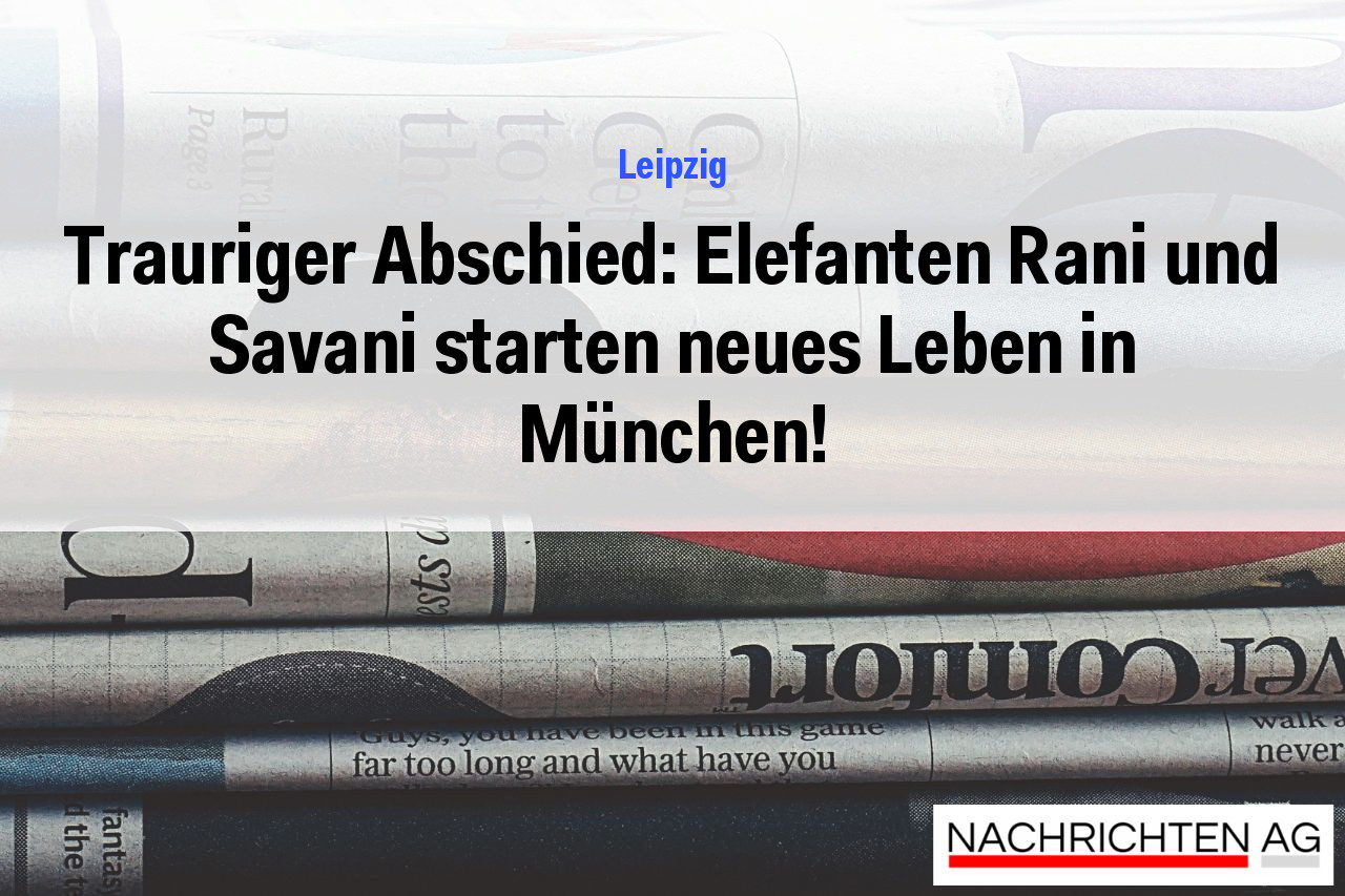 Trauriger Abschied: Elefanten Rani und Savani starten neues Leben in München!