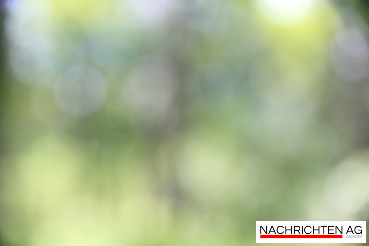 Engagiert im Viertel: Nachbarschaftshilfe für Jung und Alt am 20. August!