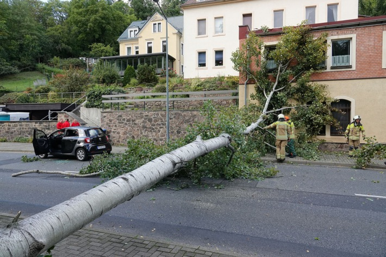 Sturmgefahr in Dresden: Feuerwehr im Dauereinsatz wegen umgestürzter Bäume!